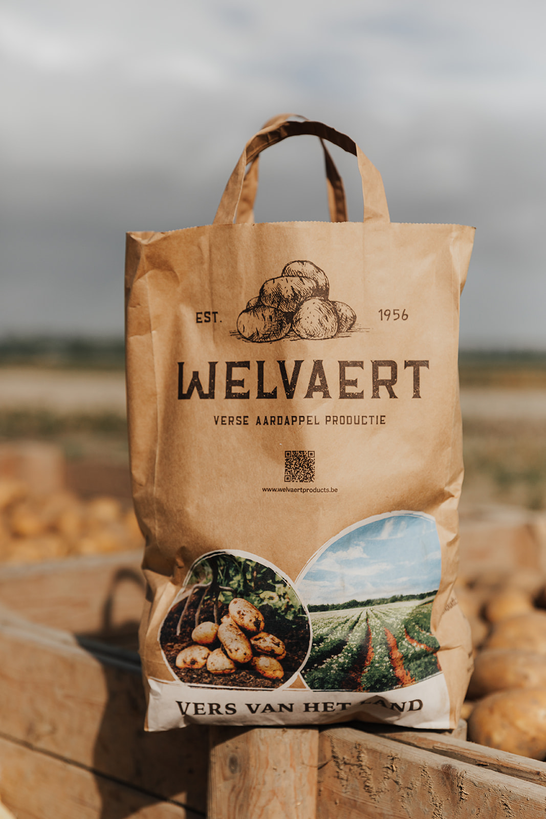 Henri Welvaert | Verse aardappelproductie